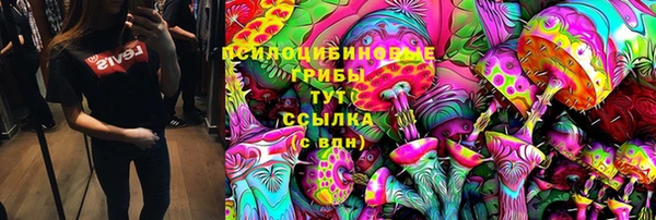 гашик Абаза